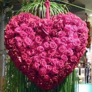 Meet your Posher, Daphne